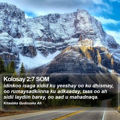 Kolosay 2:7 SOM Bible Verse Image