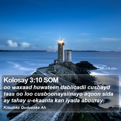 Kolosay 3:10 SOM Bible Verse Image