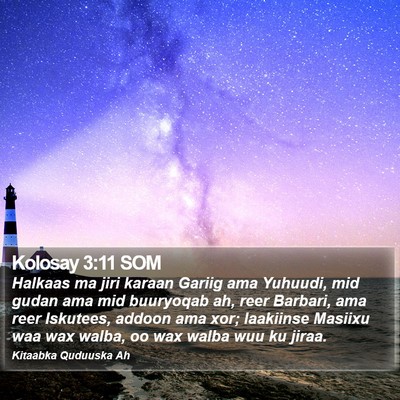 Kolosay 3:11 SOM Bible Verse Image