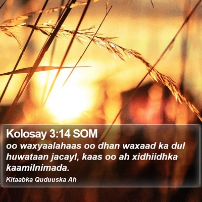 Kolosay 3:14 SOM Bible Verse Image