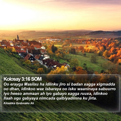 Kolosay 3:16 SOM Bible Verse Image