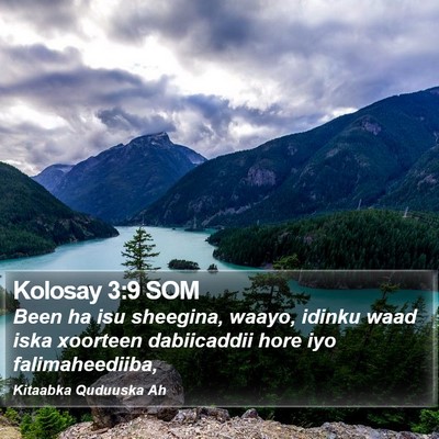 Kolosay 3:9 SOM Bible Verse Image