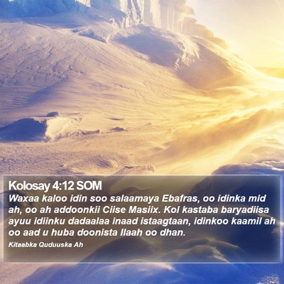 Kolosay 4:12 SOM Bible Verse Image