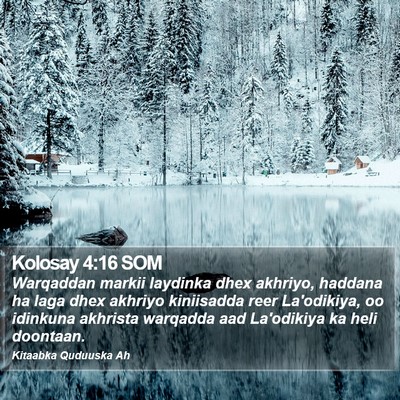 Kolosay 4:16 SOM Bible Verse Image