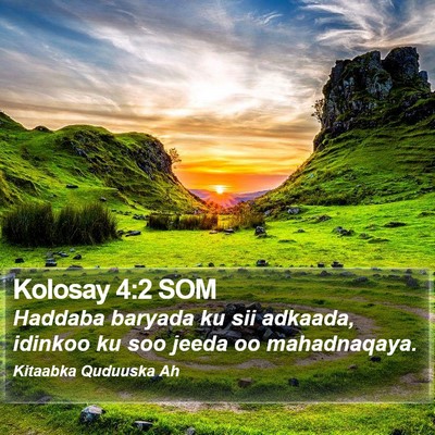Kolosay 4:2 SOM Bible Verse Image