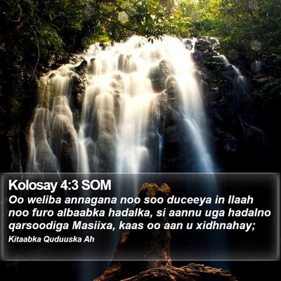 Kolosay 4:3 SOM Bible Verse Image