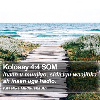 Kolosay 4:4 SOM Bible Verse Image