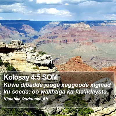 Kolosay 4:5 SOM Bible Verse Image