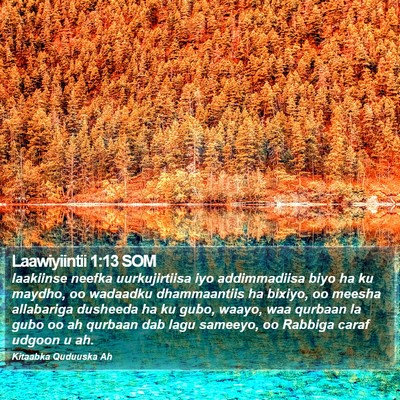 Laawiyiintii 1:13 SOM Bible Verse Image
