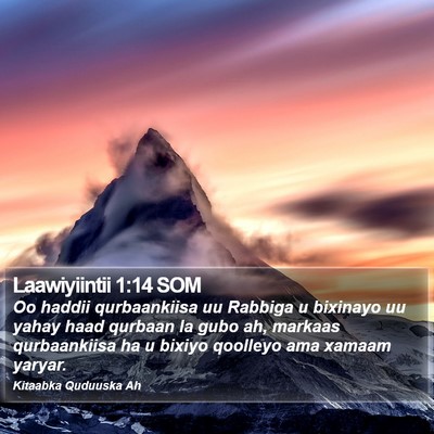Laawiyiintii 1:14 SOM Bible Verse Image