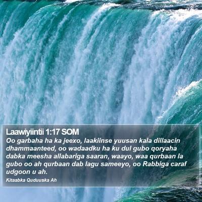 Laawiyiintii 1:17 SOM Bible Verse Image