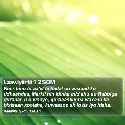 Laawiyiintii 1:2 SOM Bible Verse Image
