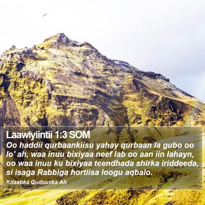 Laawiyiintii 1:3 SOM Bible Verse Image