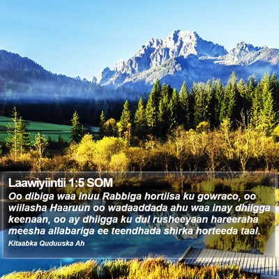 Laawiyiintii 1:5 SOM Bible Verse Image
