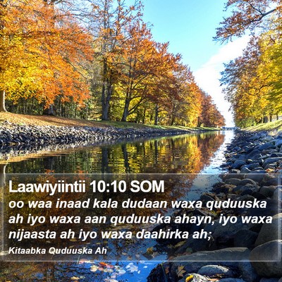 Laawiyiintii 10:10 SOM Bible Verse Image