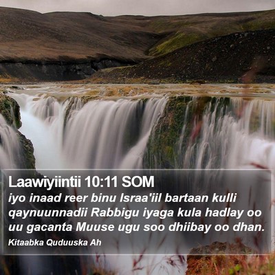 Laawiyiintii 10:11 SOM Bible Verse Image