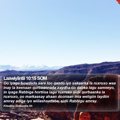Laawiyiintii 10:15 SOM Bible Verse Image