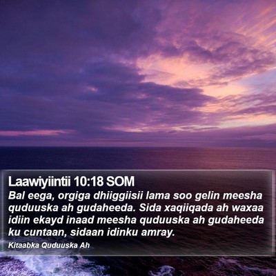 Laawiyiintii 10:18 SOM Bible Verse Image