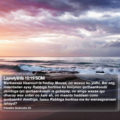 Laawiyiintii 10:19 SOM Bible Verse Image