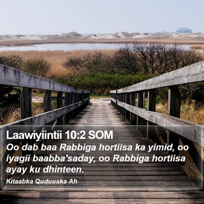 Laawiyiintii 10:2 SOM Bible Verse Image