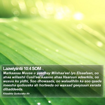 Laawiyiintii 10:4 SOM Bible Verse Image