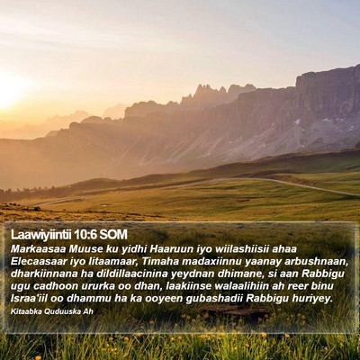 Laawiyiintii 10:6 SOM Bible Verse Image