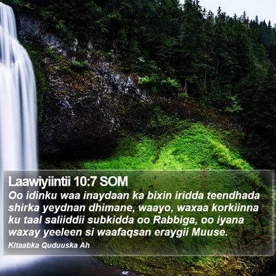 Laawiyiintii 10:7 SOM Bible Verse Image