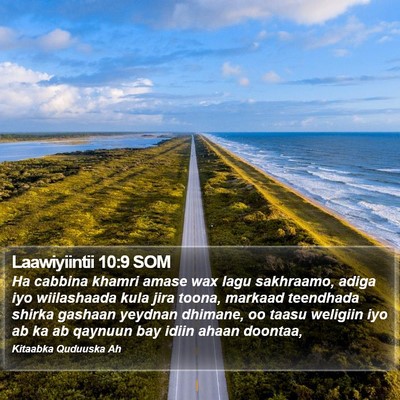 Laawiyiintii 10:9 SOM Bible Verse Image