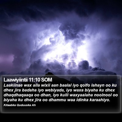 Laawiyiintii 11:10 SOM Bible Verse Image