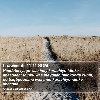 Laawiyiintii 11:11 SOM Bible Verse Image