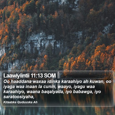 Laawiyiintii 11:13 SOM Bible Verse Image