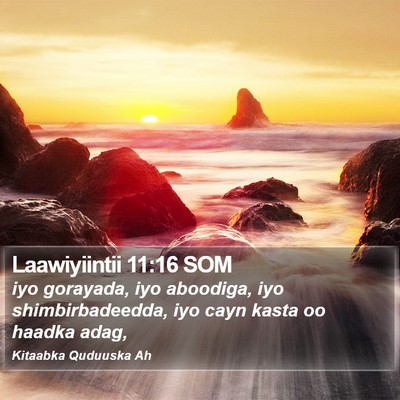 Laawiyiintii 11:16 SOM Bible Verse Image