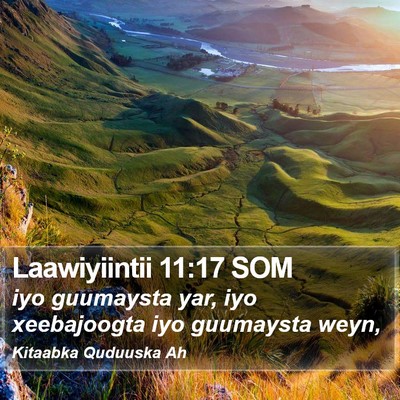 Laawiyiintii 11:17 SOM Bible Verse Image