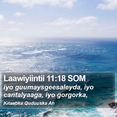 Laawiyiintii 11:18 SOM Bible Verse Image