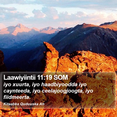 Laawiyiintii 11:19 SOM Bible Verse Image