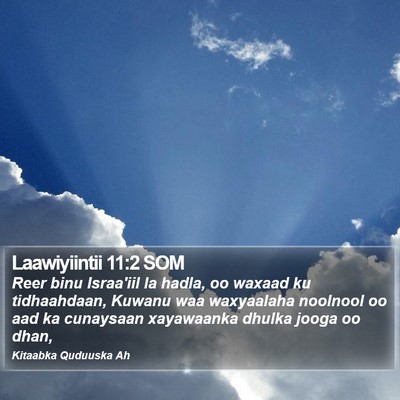 Laawiyiintii 11:2 SOM Bible Verse Image