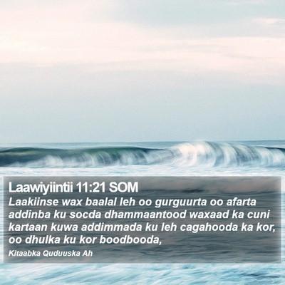 Laawiyiintii 11:21 SOM Bible Verse Image