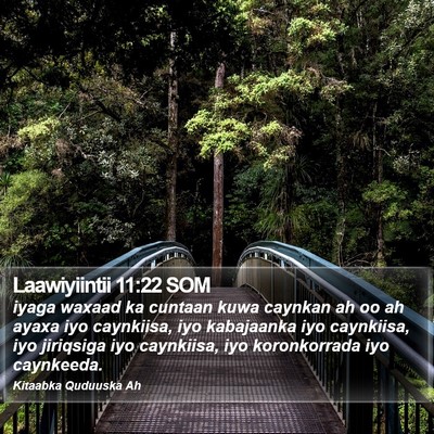 Laawiyiintii 11:22 SOM Bible Verse Image