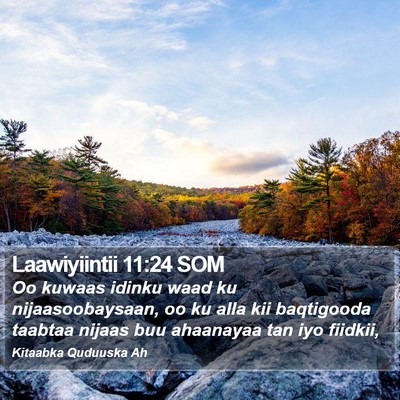 Laawiyiintii 11:24 SOM Bible Verse Image