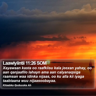 Laawiyiintii 11:26 SOM Bible Verse Image