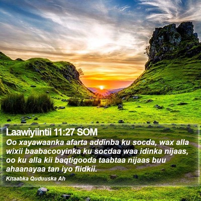 Laawiyiintii 11:27 SOM Bible Verse Image