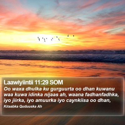 Laawiyiintii 11:29 SOM Bible Verse Image