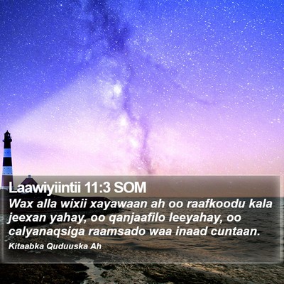 Laawiyiintii 11:3 SOM Bible Verse Image