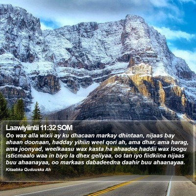 Laawiyiintii 11:32 SOM Bible Verse Image