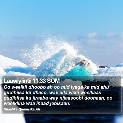 Laawiyiintii 11:33 SOM Bible Verse Image