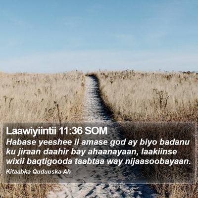 Laawiyiintii 11:36 SOM Bible Verse Image