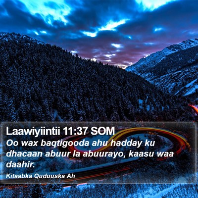 Laawiyiintii 11:37 SOM Bible Verse Image