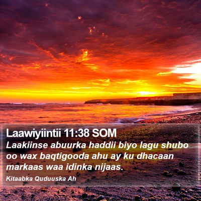 Laawiyiintii 11:38 SOM Bible Verse Image