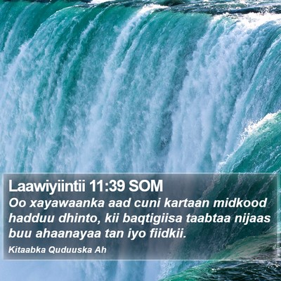 Laawiyiintii 11:39 SOM Bible Verse Image
