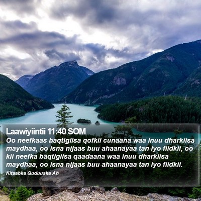 Laawiyiintii 11:40 SOM Bible Verse Image